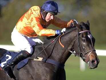 Noel Fehily gets the Rocky Creed ride